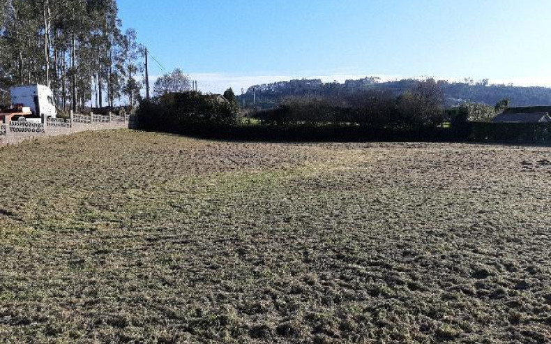 FINCA SAN MUGUEL DE ARROES